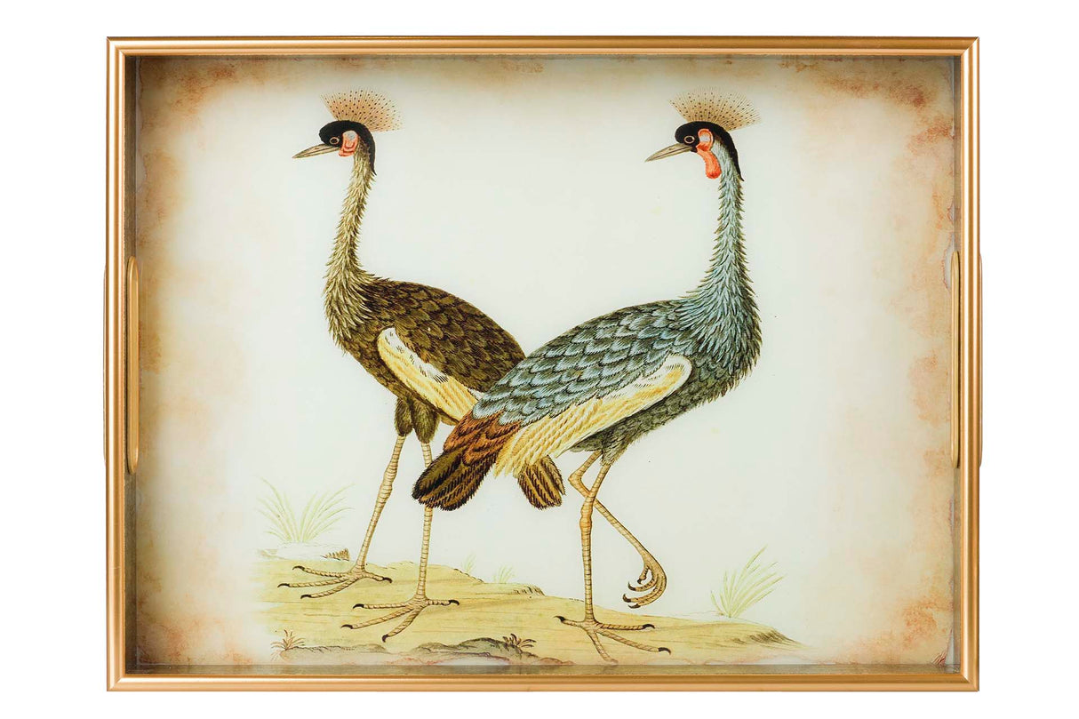 Conjunto 2 bandejas de cristal PU 40x30x5 35x25x5 cm