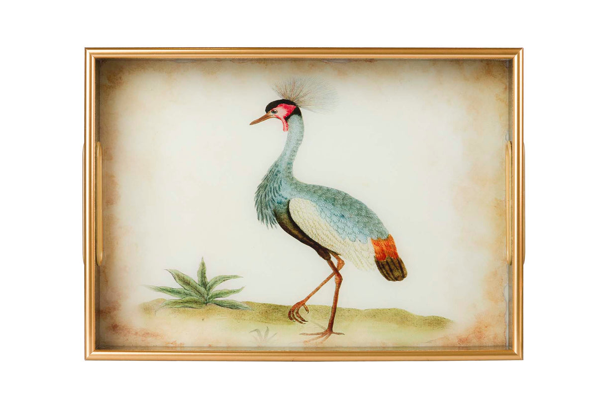 Conjunto 2 bandejas de cristal PU 40x30x5 35x25x5 cm