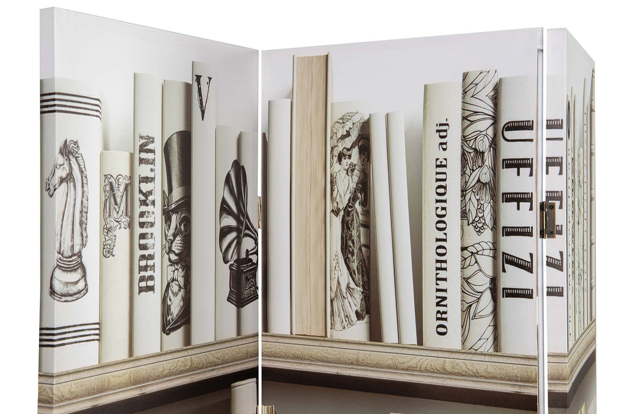BIOMBO LIENZO LIBROS 120x3x180 CM