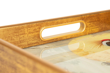 SET 2 BANDEJAS CRISTAL PU 40x30x5 35x25x5 CM