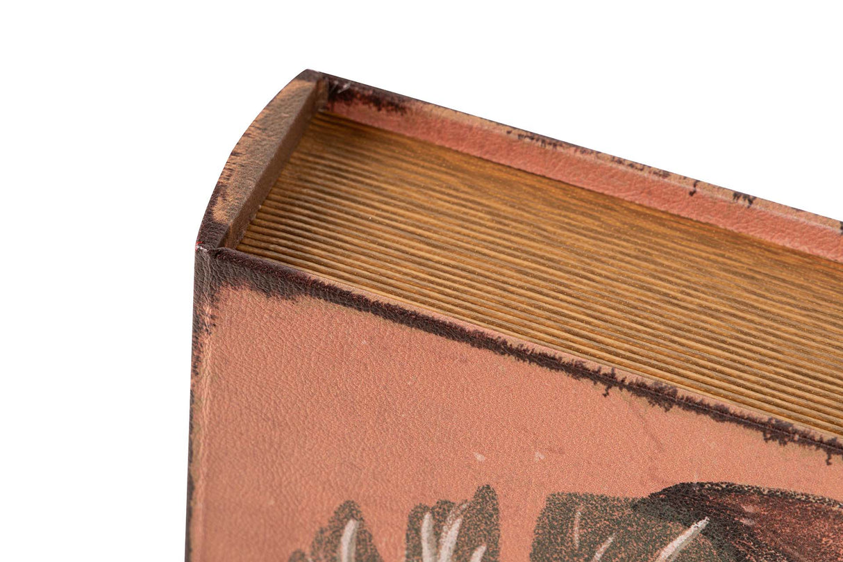 SET 2 CAJAS LIBRO MUJERES 34x25x7 27x20x6 CM