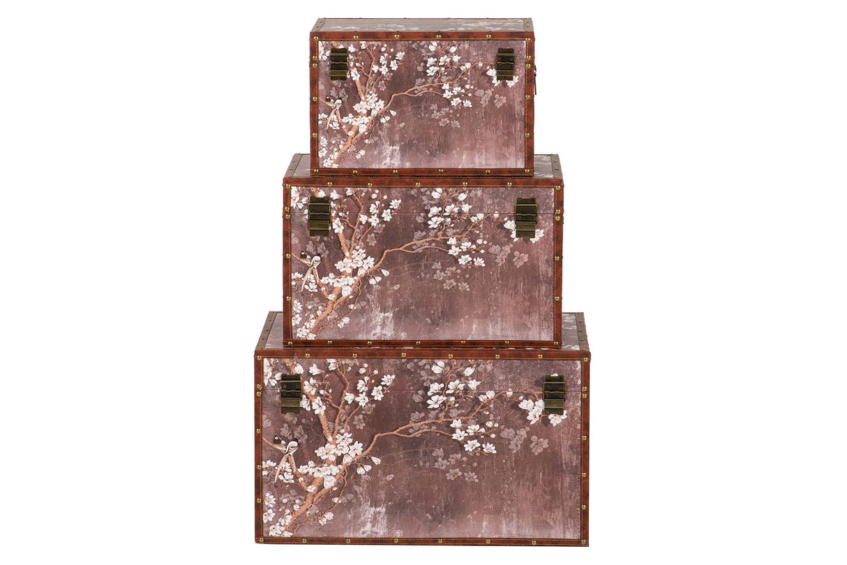 SET 3 BAULES 59x35x35 49x30x30 39x25x25 CM