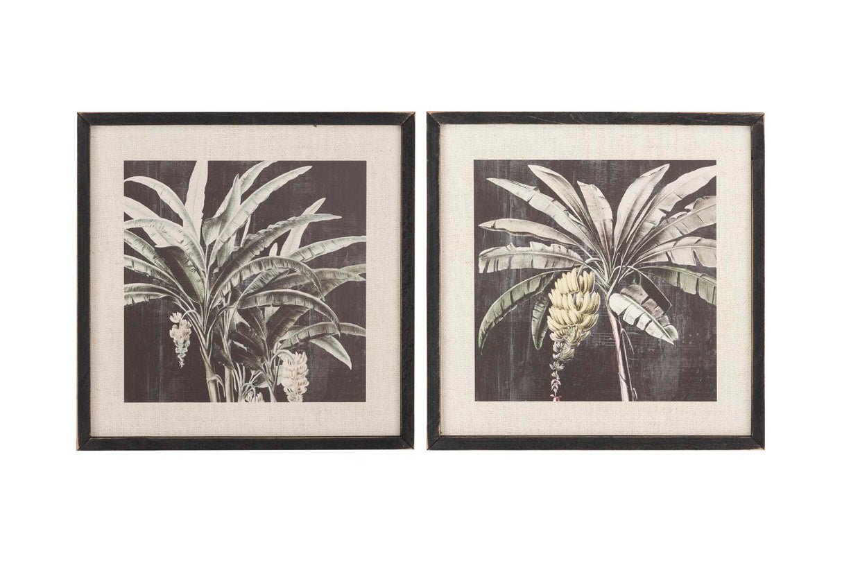 Defina 2 palmeiras com quadro preto 39x2x39 cm