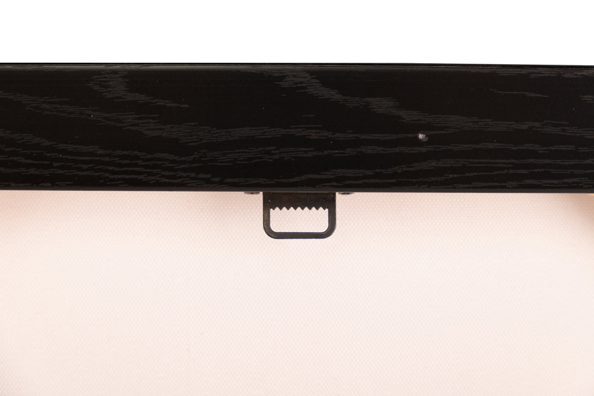 Réglez 2 papillons avec cadre noir 60x4x90 cm