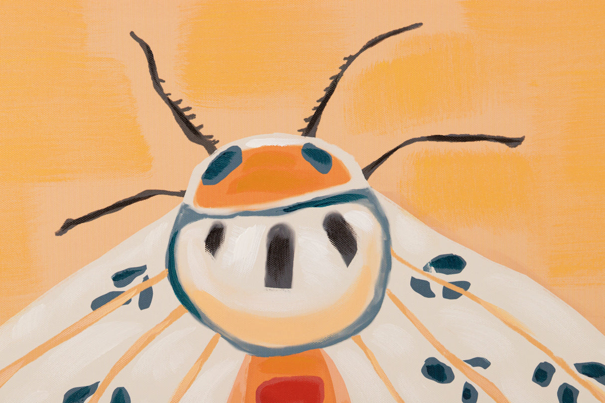 Réglez 2 papillons avec cadre noir 90x4x60 cm