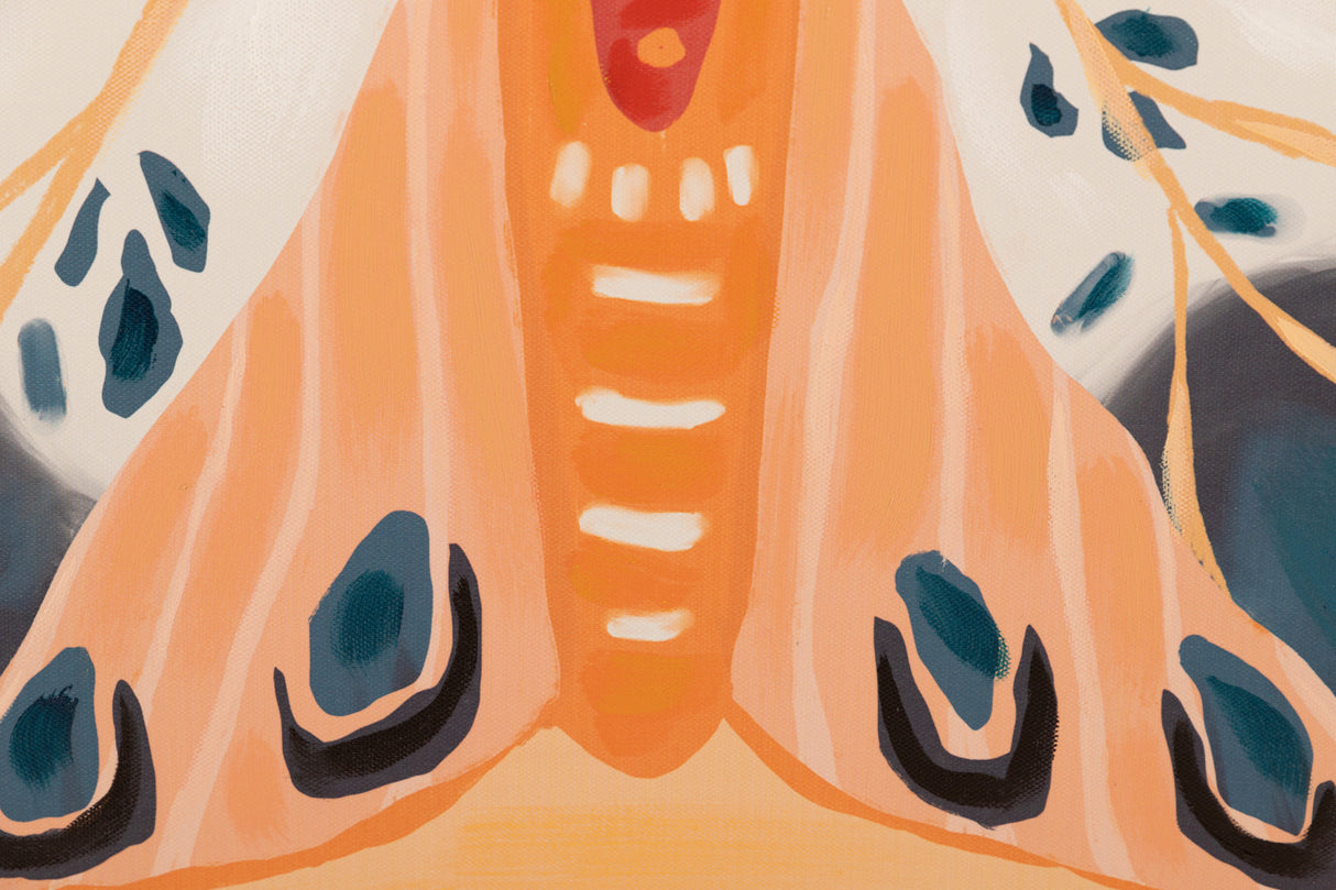 Réglez 2 papillons avec cadre noir 90x4x60 cm