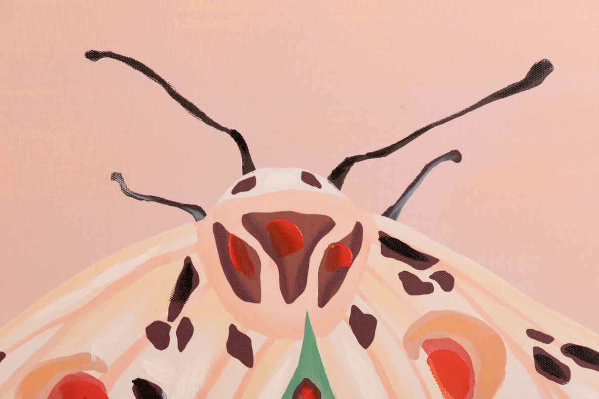 Réglez 2 papillons avec cadre noir 90x4x60 cm