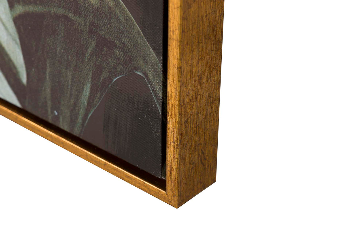 Tabela Macaco com Marco Golden 80x4x120 cm