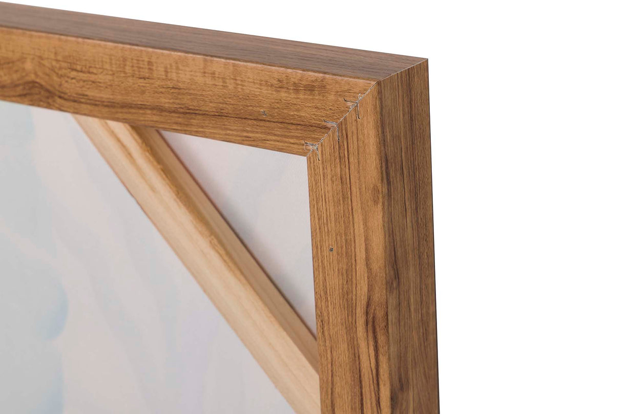 Pictures de animais set2 com quadro dourado 60x4x80 cm