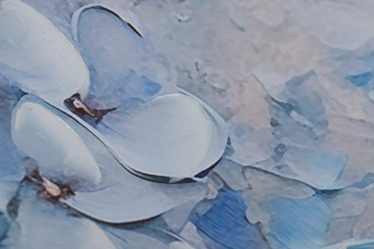 Régler 2 fleurs 40% de fleurs peintes 60x3x60 cm