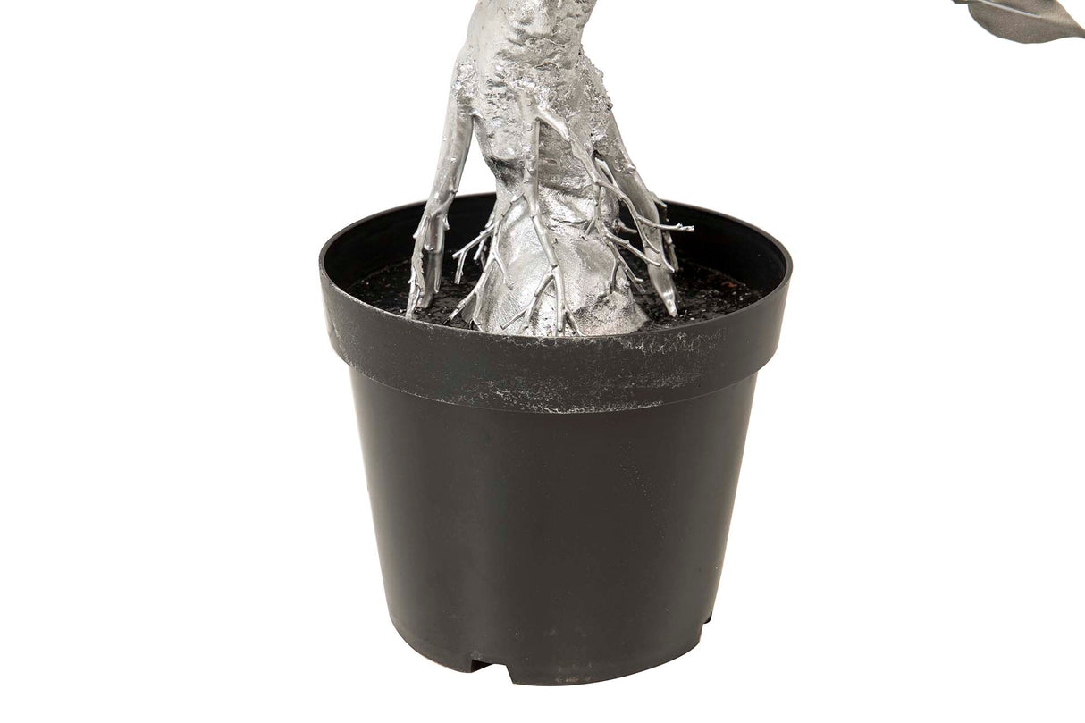 Silberbonsai -Baum mit 75x50x120 cm Topf