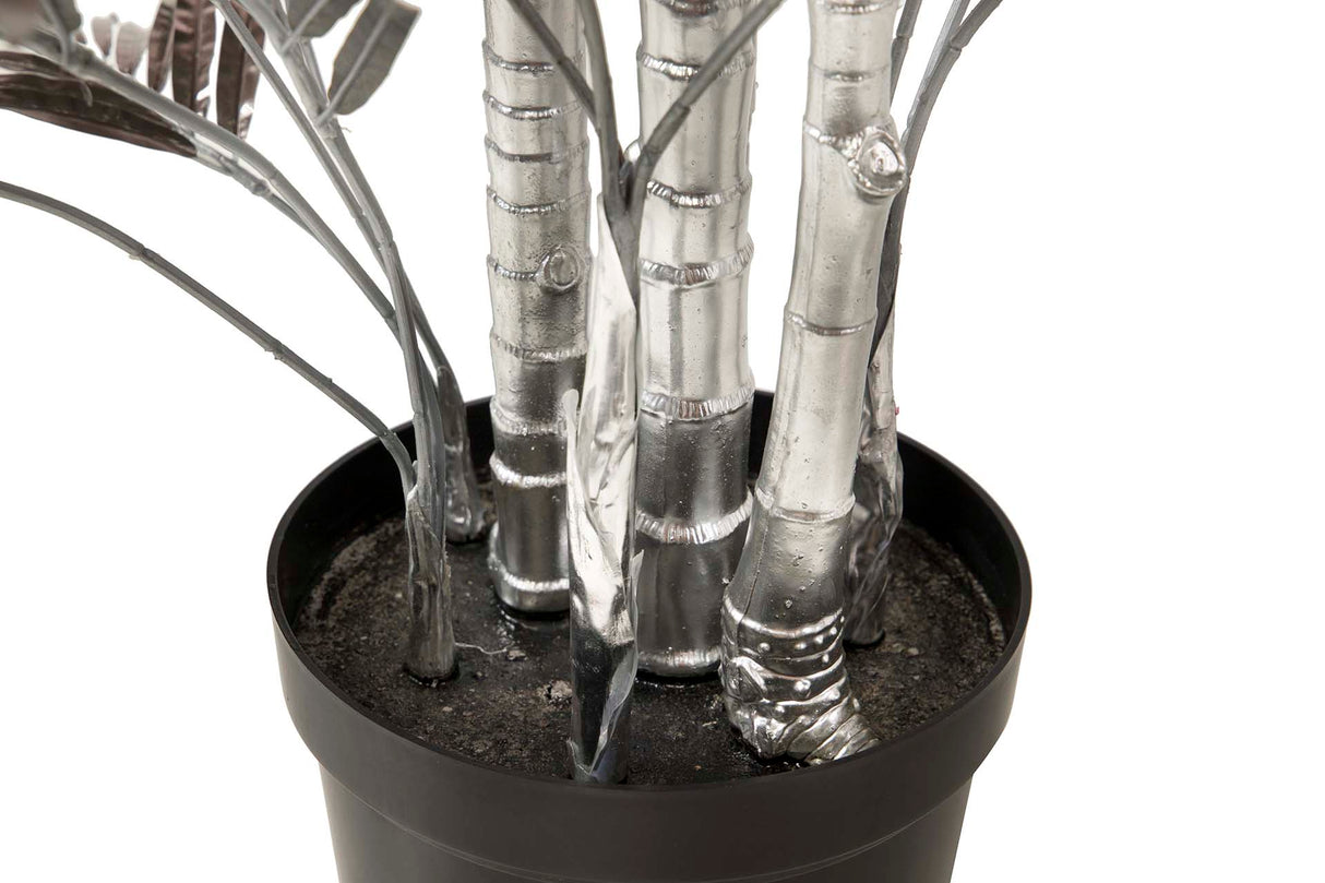 Palme gris avec un pot de 75x45x135 cm