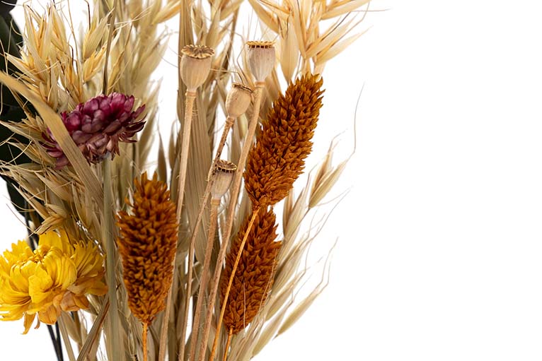 BOUQUET FLORES SILVERESTRES PRESERVADAS 26x15x43CM