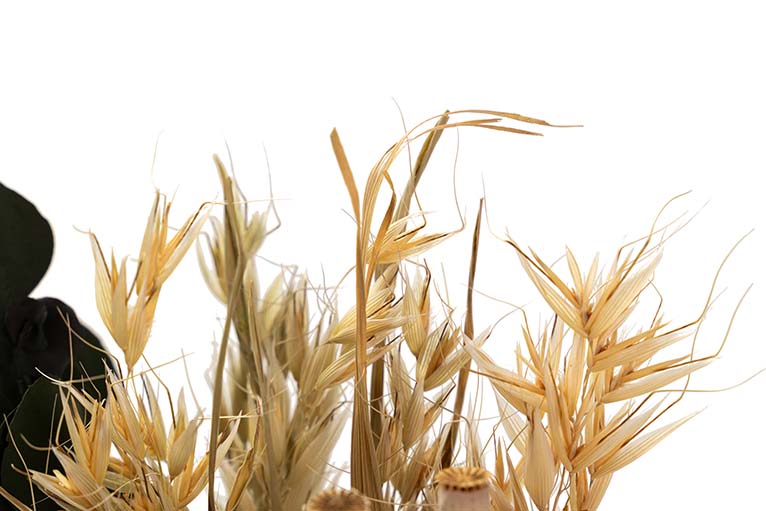 BOUQUET FLORES SILVERESTRES PRESERVADAS 26x15x43CM