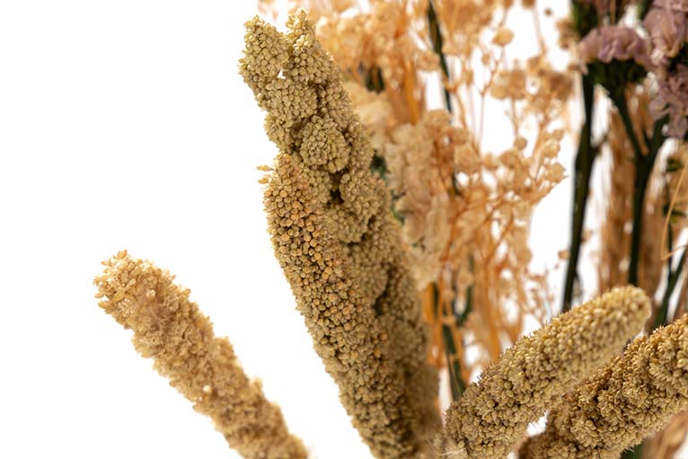 BOUQUET FLORES SILVERESTRES PRESERVADAS 26x15x43CM