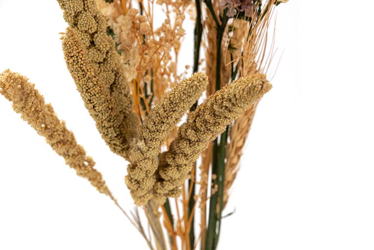 BOUQUET FLORES SILVERESTRES PRESERVADAS 26x15x43CM