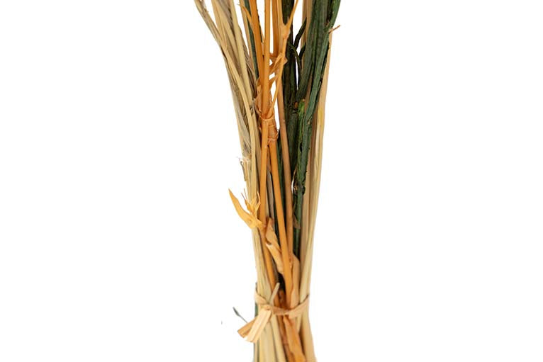 BOUQUET FLORES SILVERESTRES PRESERVADAS 26x15x43CM