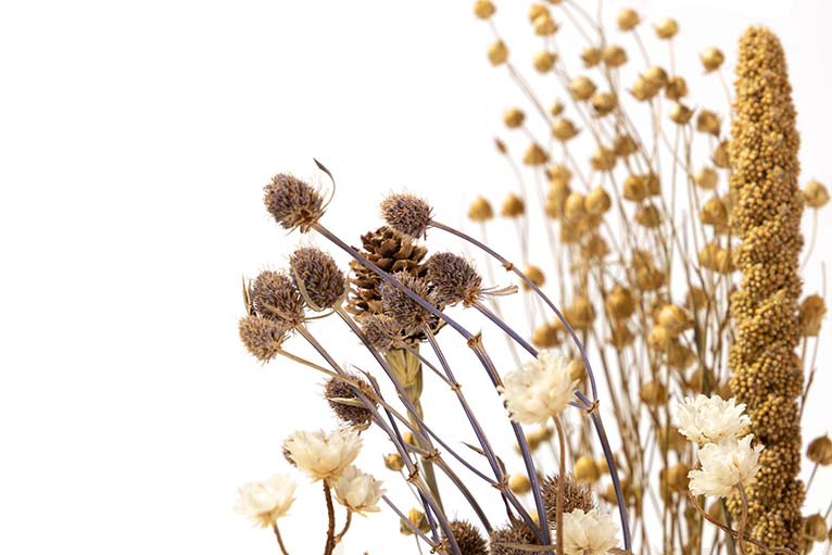 BOUQUET FLORES SILVERESTRES PRESERVADAS 26x15x43CM