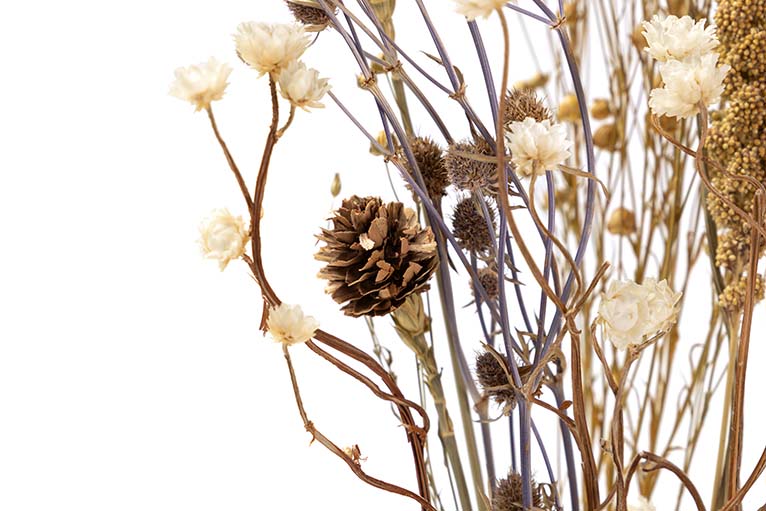 BOUQUET FLORES SILVERESTRES PRESERVADAS 26x15x43CM