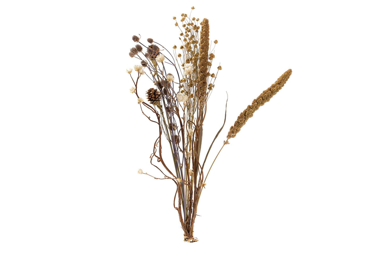 BOUQUET FLORES SILVERESTRES PRESERVADAS 26x15x43CM