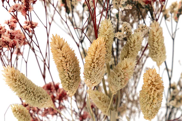 BOUQUET FLORES SILVERESTRES PRESERVADAS 26x15x43CM