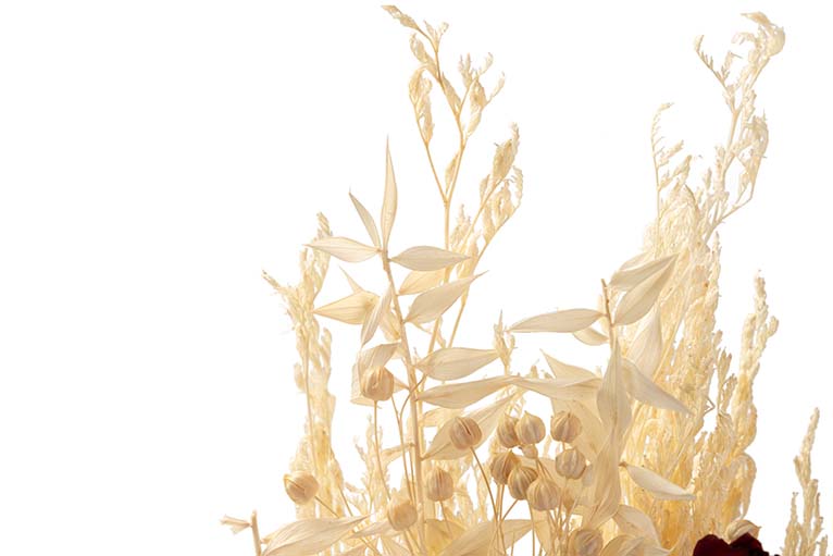 BOUQUET FLORES SILVERESTRES PRESERVADAS 26x15x43CM