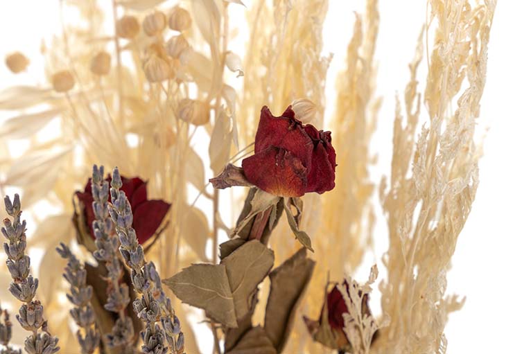 BOUQUET FLORES SILVERESTRES PRESERVADAS 26x15x43CM