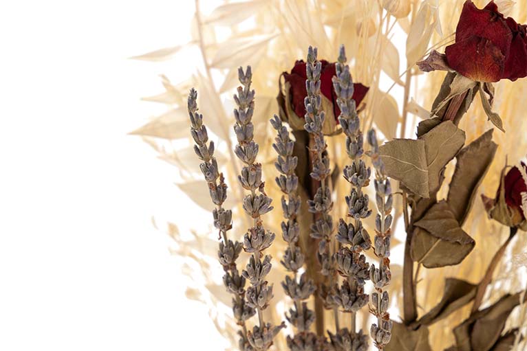 BOUQUET FLORES SILVERESTRES PRESERVADAS 26x15x43CM