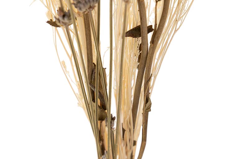 BOUQUET FLORES SILVERESTRES PRESERVADAS 26x15x43CM