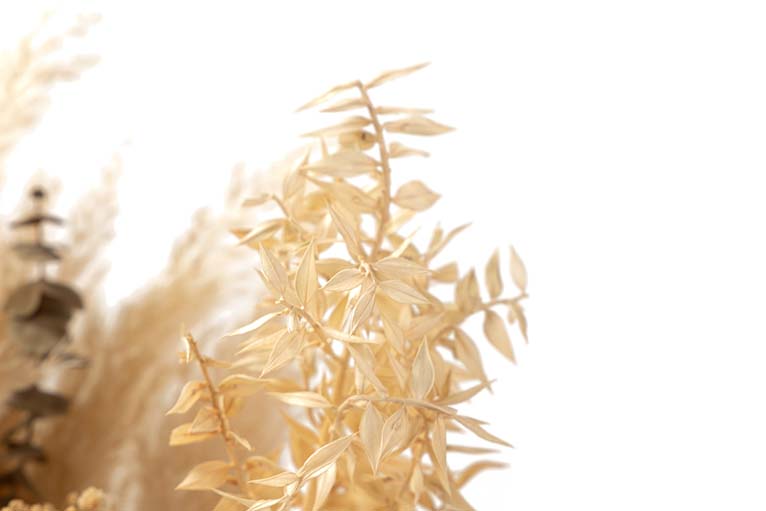 BOUQUET FLORES SILVERESTRES PRESERVADAS 26x15x43CM