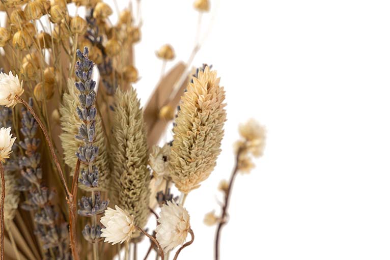 BOUQUET FLORES SILVERESTRES PRESERVADAS 26x15x43CM