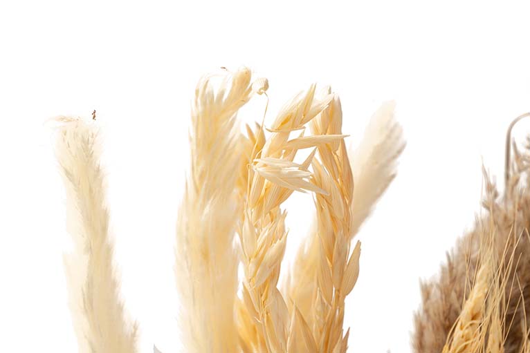 BOUQUET FLORES SILVERESTRES PRESERVADAS 26x15x43CM