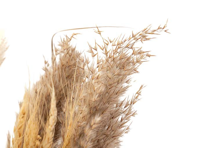 BOUQUET FLORES SILVERESTRES PRESERVADAS 26x15x43CM