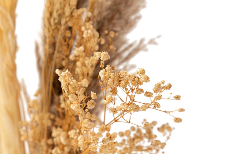 BOUQUET FLORES SILVERESTRES PRESERVADAS 26x15x43CM