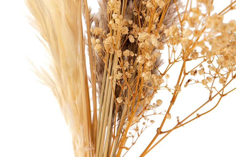 BOUQUET FLORES SILVERESTRES PRESERVADAS 26x15x43CM