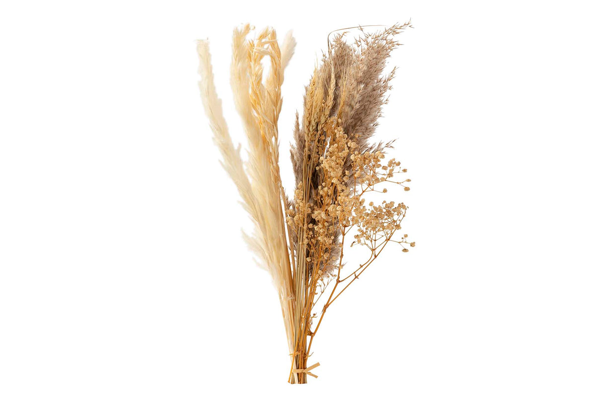 BOUQUET FLORES SILVERESTRES PRESERVADAS 26x15x43CM