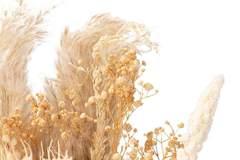 BOUQUET FLORES SILVERESTRES PRESERVADAS 30x14x68CM