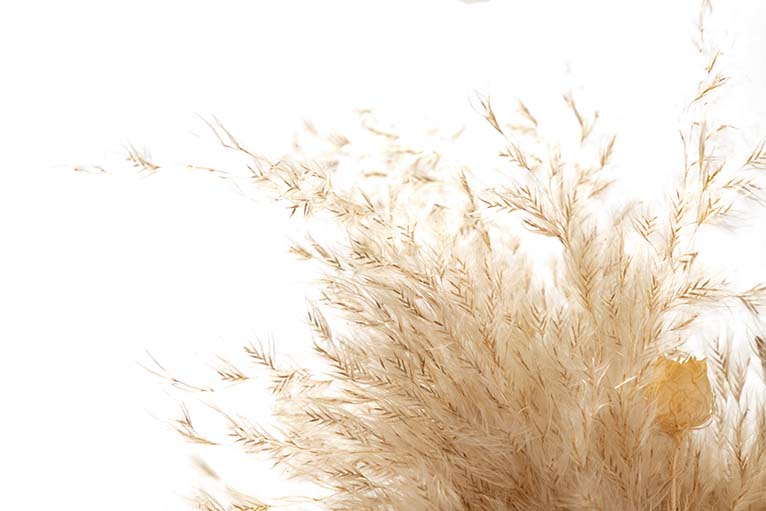 BOUQUET FLORES SILVERESTRES PRESERVADAS 30x14x68CM