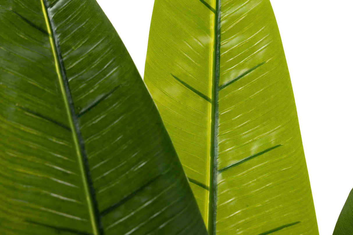 Tree de viajante 80x80x140 cm