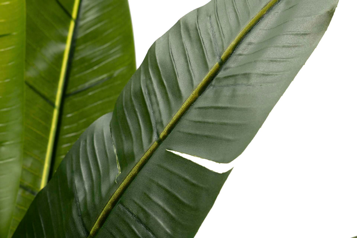 Tree de viajante 80x80x140 cm