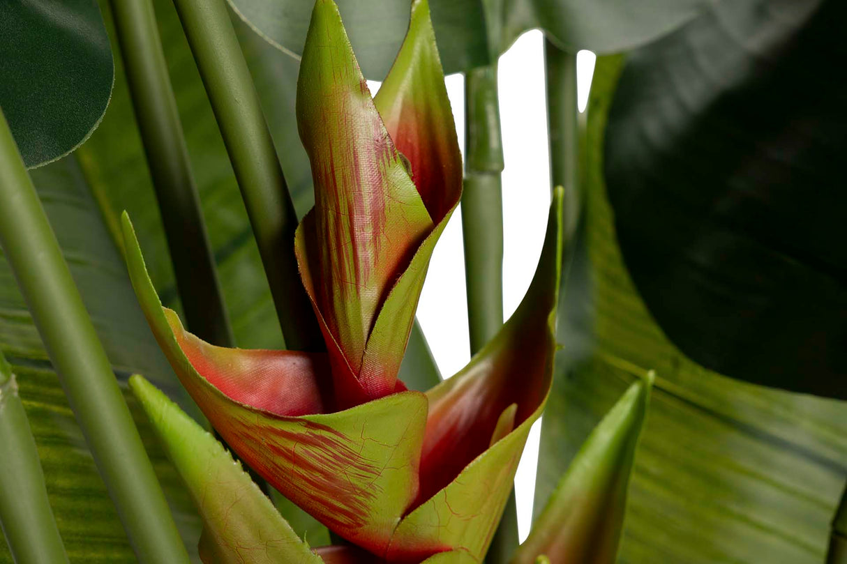 Tree de viajante 80x80x140 cm