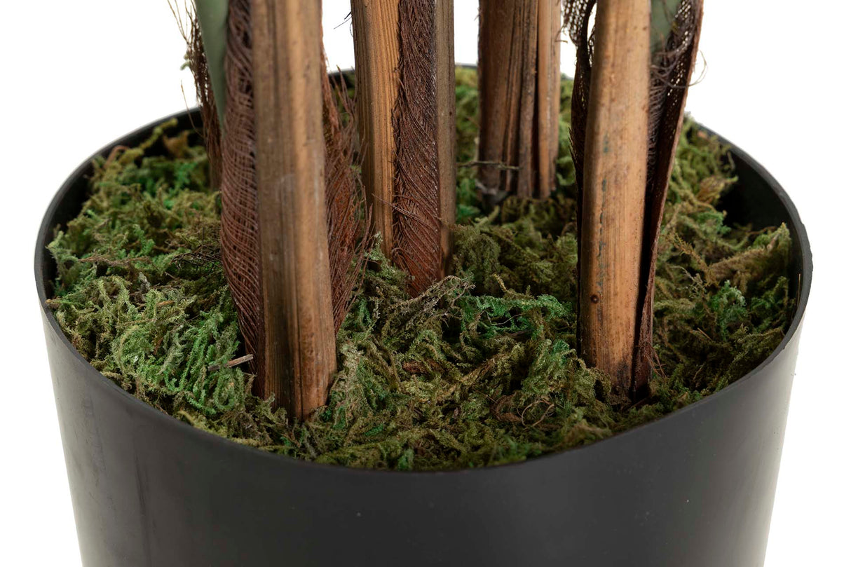 Tree de viajante 80x80x140 cm