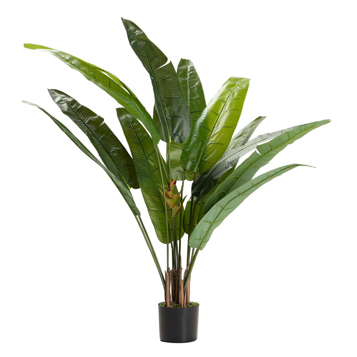 Tree de viajante 80x80x140 cm