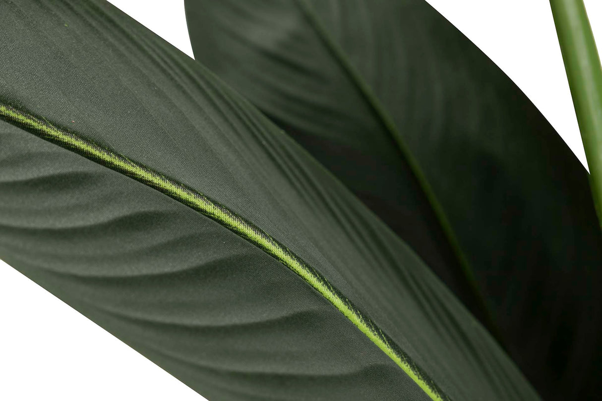 PARAISO PLANT 65X65X193 CM