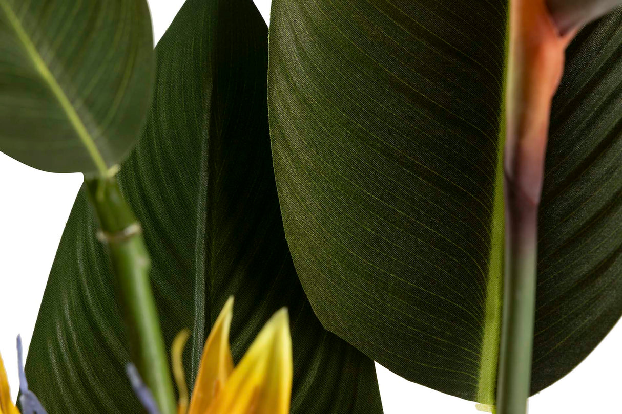 PARAISO PLANT 65X65X193 CM