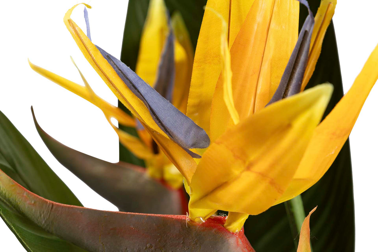 PARAISO PLANT 65X65X193 CM