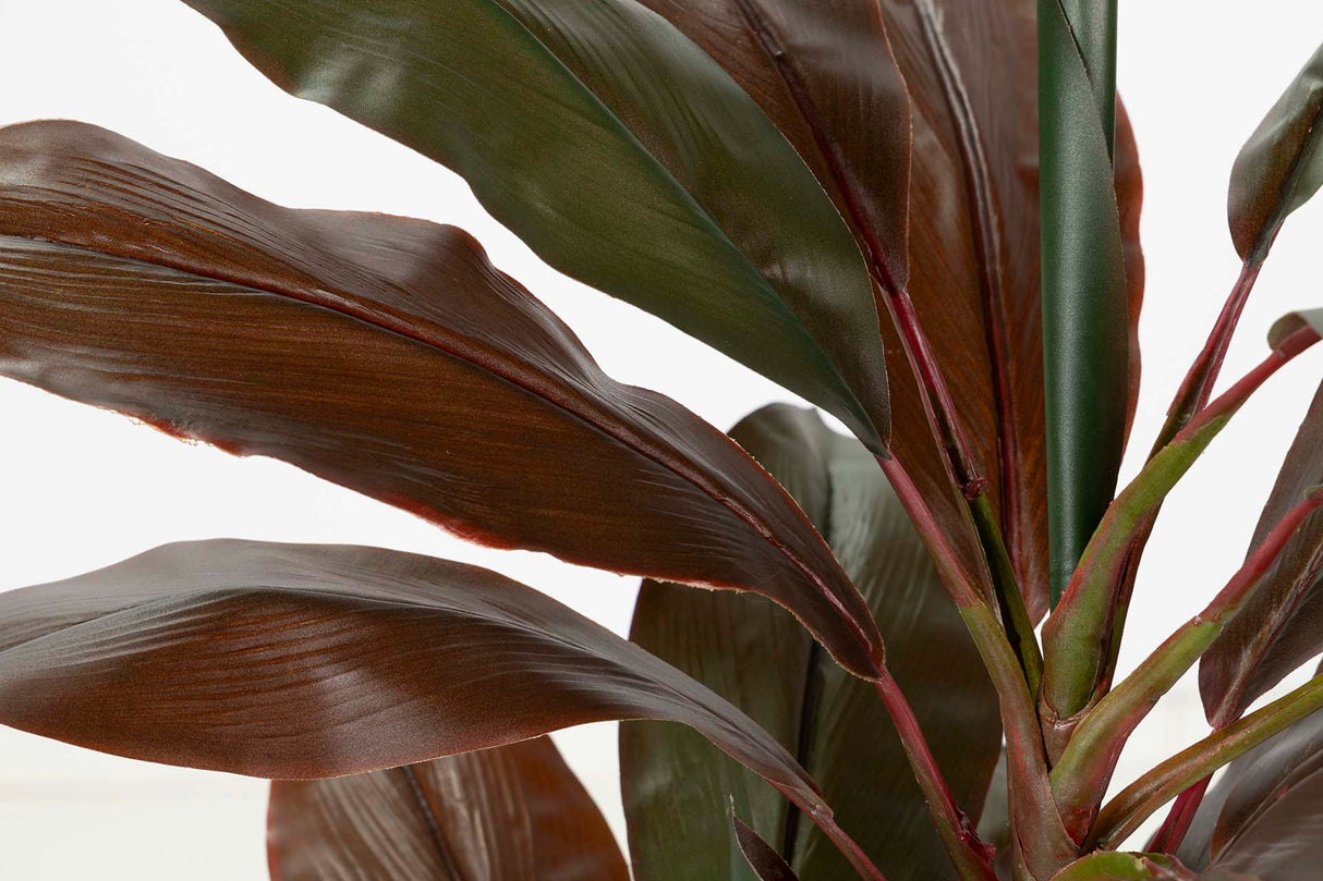 70x60x110 cm fruitline planta