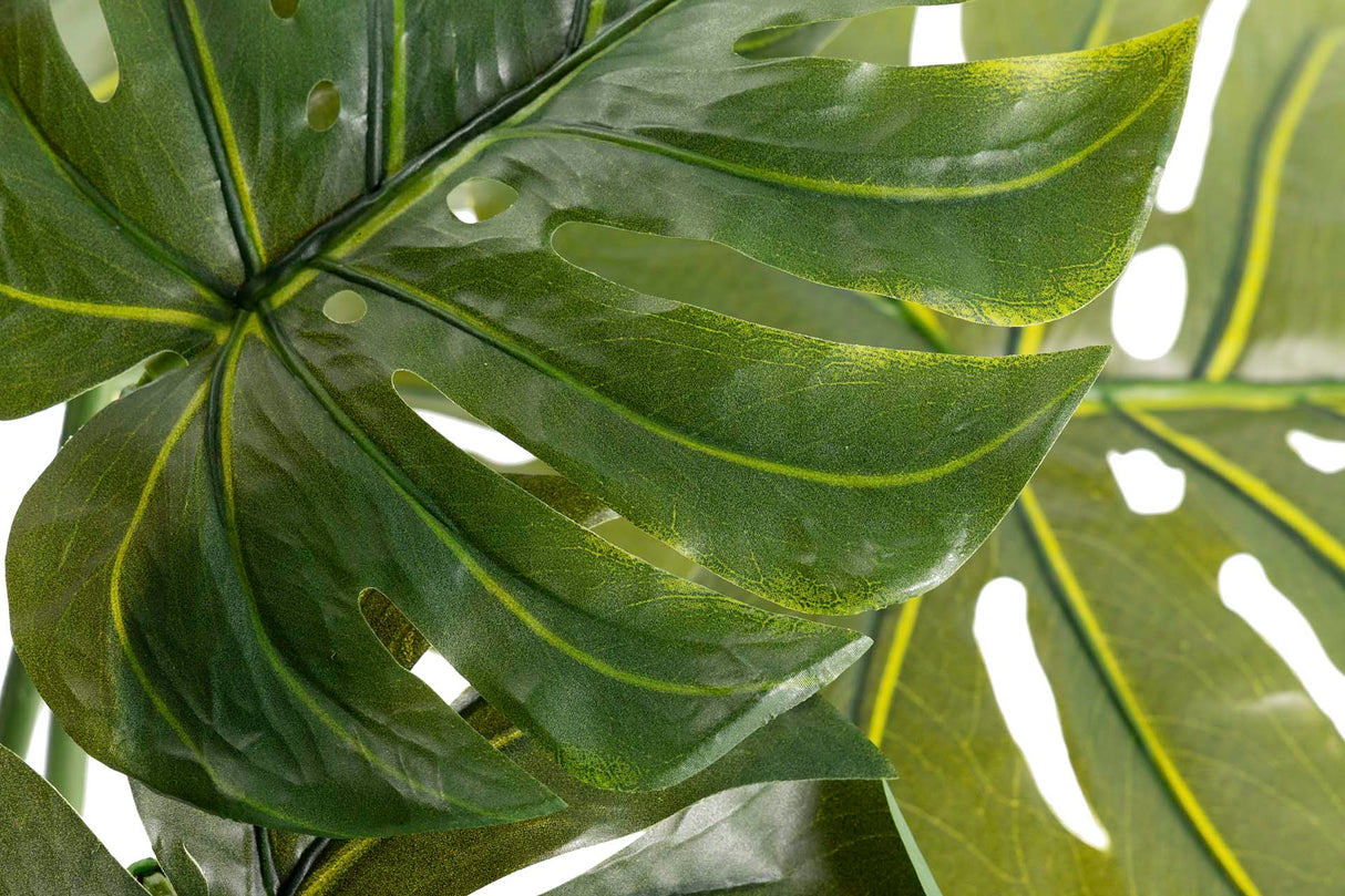 Monster Plant 110x70x155 cm