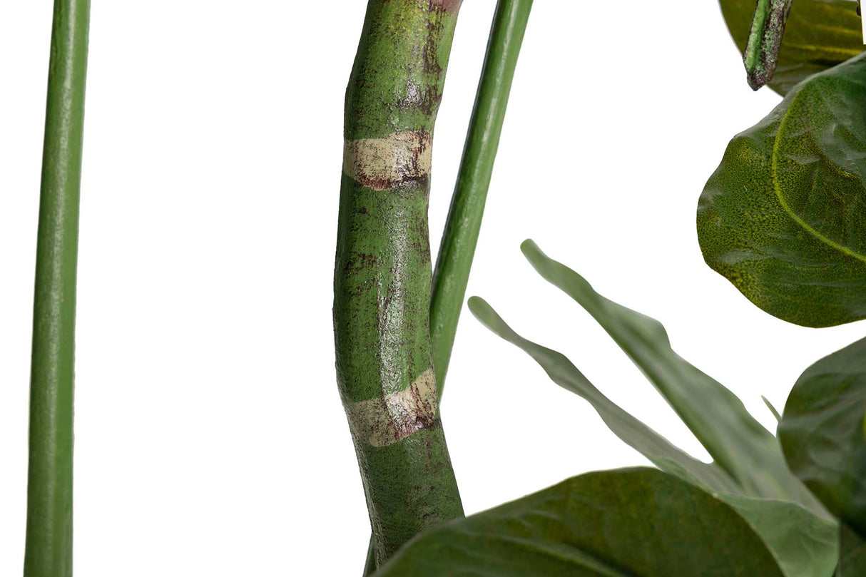 Monster Plant 110x70x155 cm