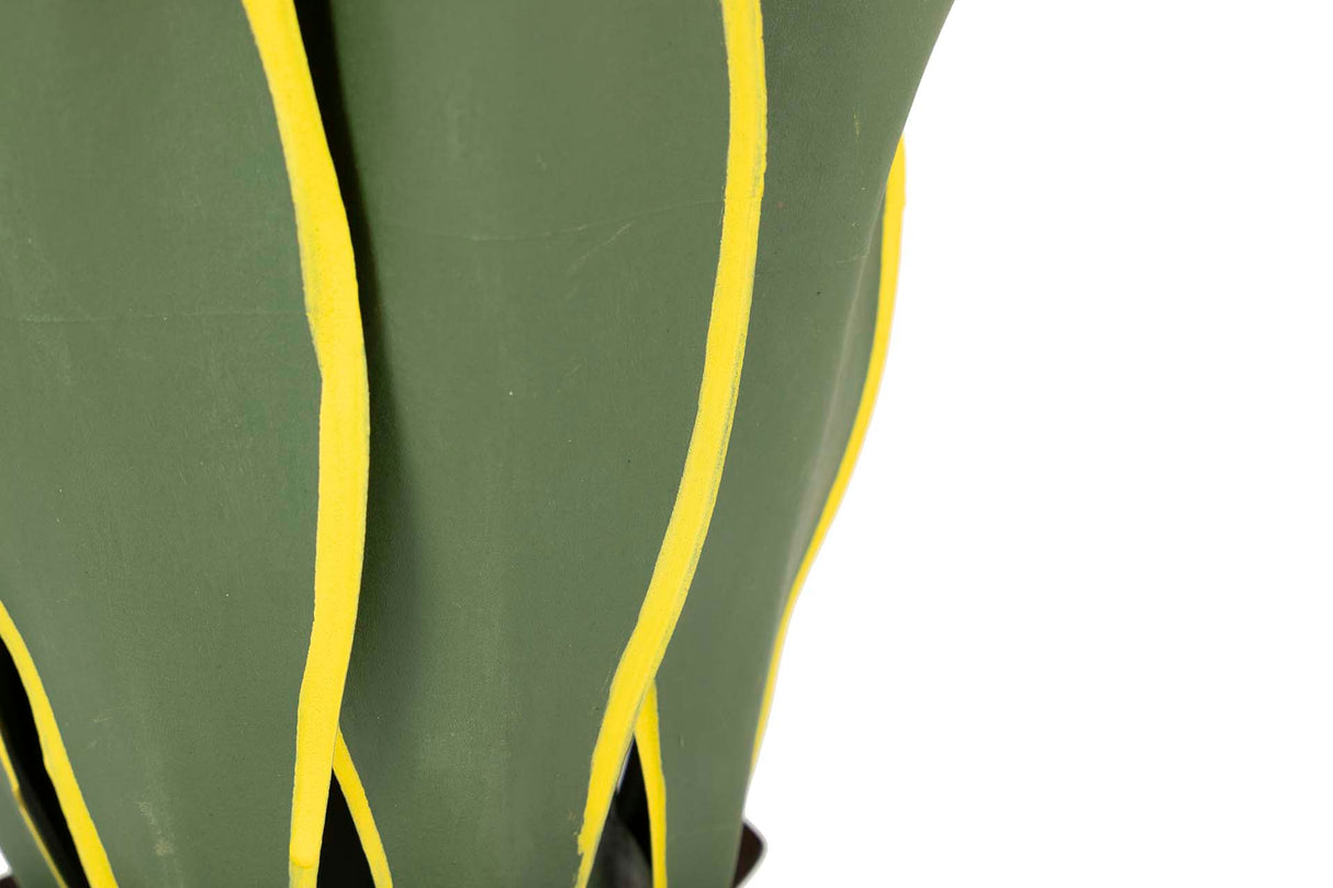 Atenuata 50x50x60 cm plante